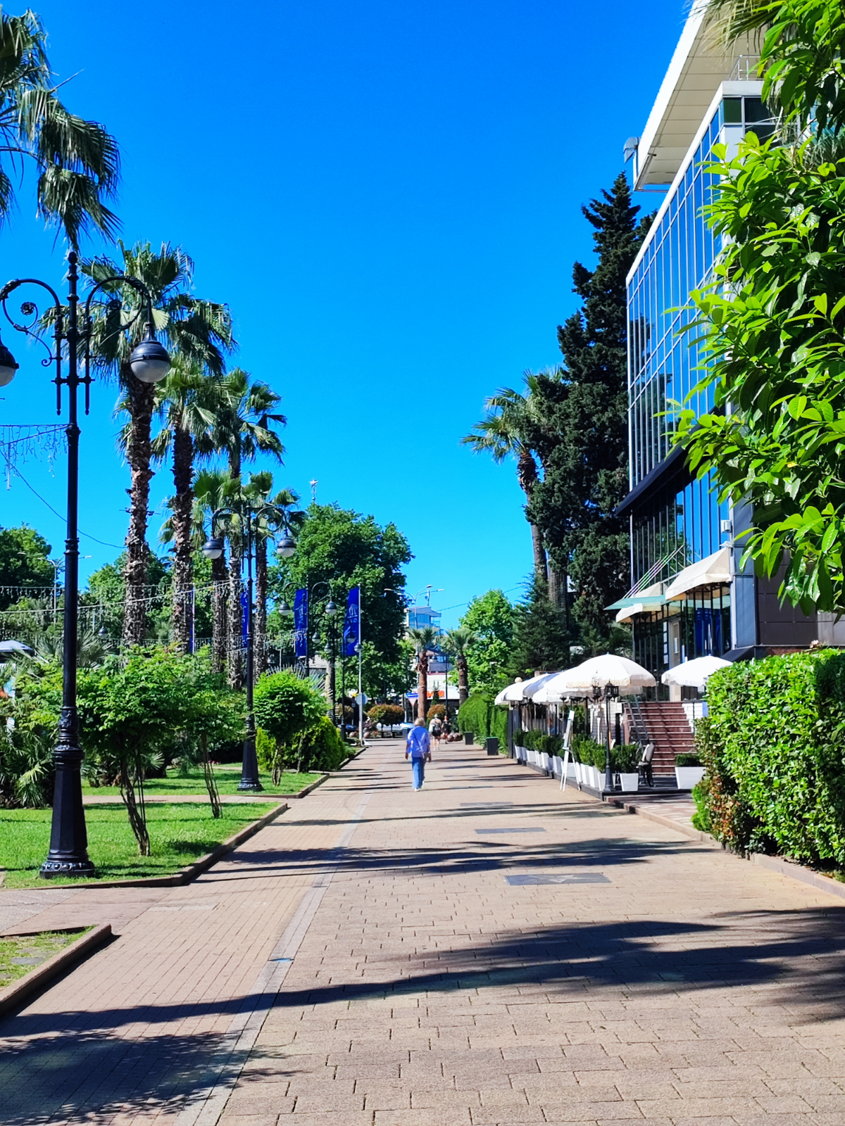 Просто обычные фото #Сочи 🌴
А у вас есть что-то такое, чем можно поделиться в сетке со всеми? | Сетка — социальная сеть от hh.ru