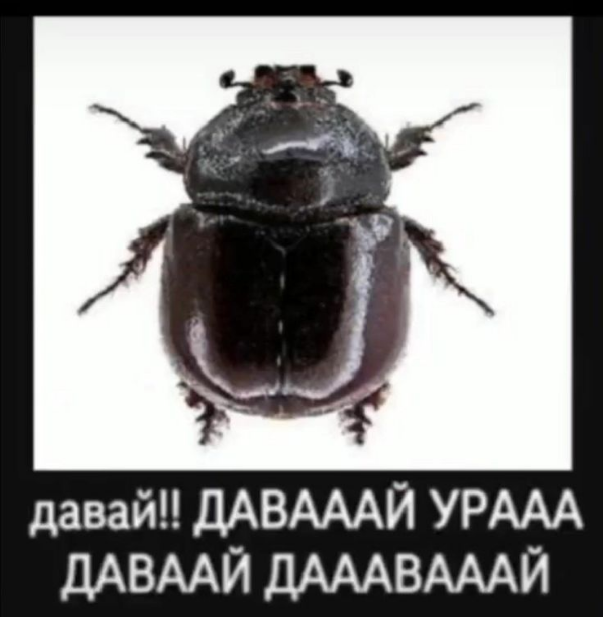 Пошёл я как-то значит устраиваться на работу в тцэшку маркетологом | Сетка — социальная сеть от hh.ru