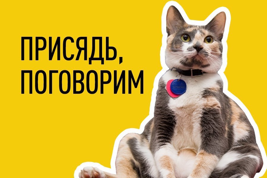Ребята, сделала небольшой опрос, который мне поможет быть интереснее и полезнее со своим контентом на канале | Сетка — социальная сеть от hh.ru
