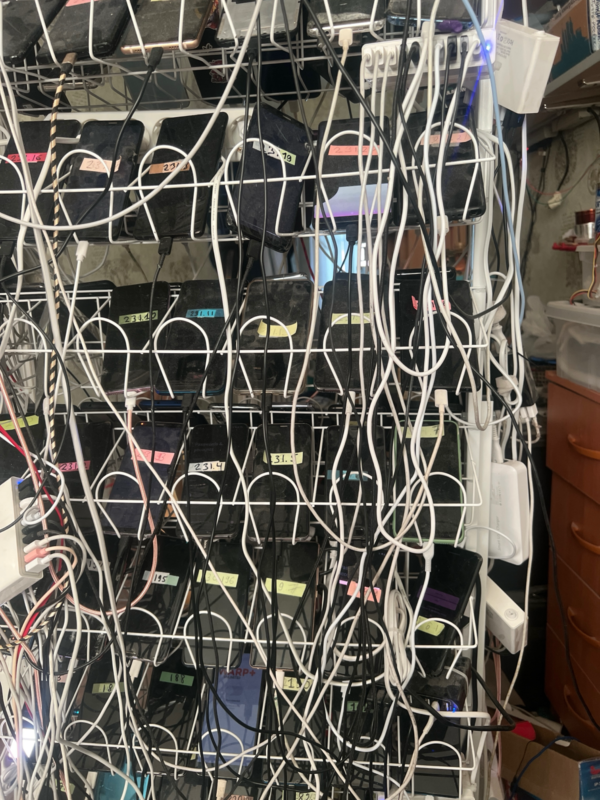 Го автоматизировать, я создал!  #appium #zennoposter #qa | Сетка — социальная сеть от hh.ru