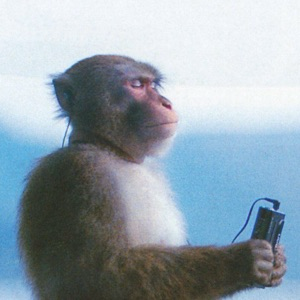 храм ios разработчика