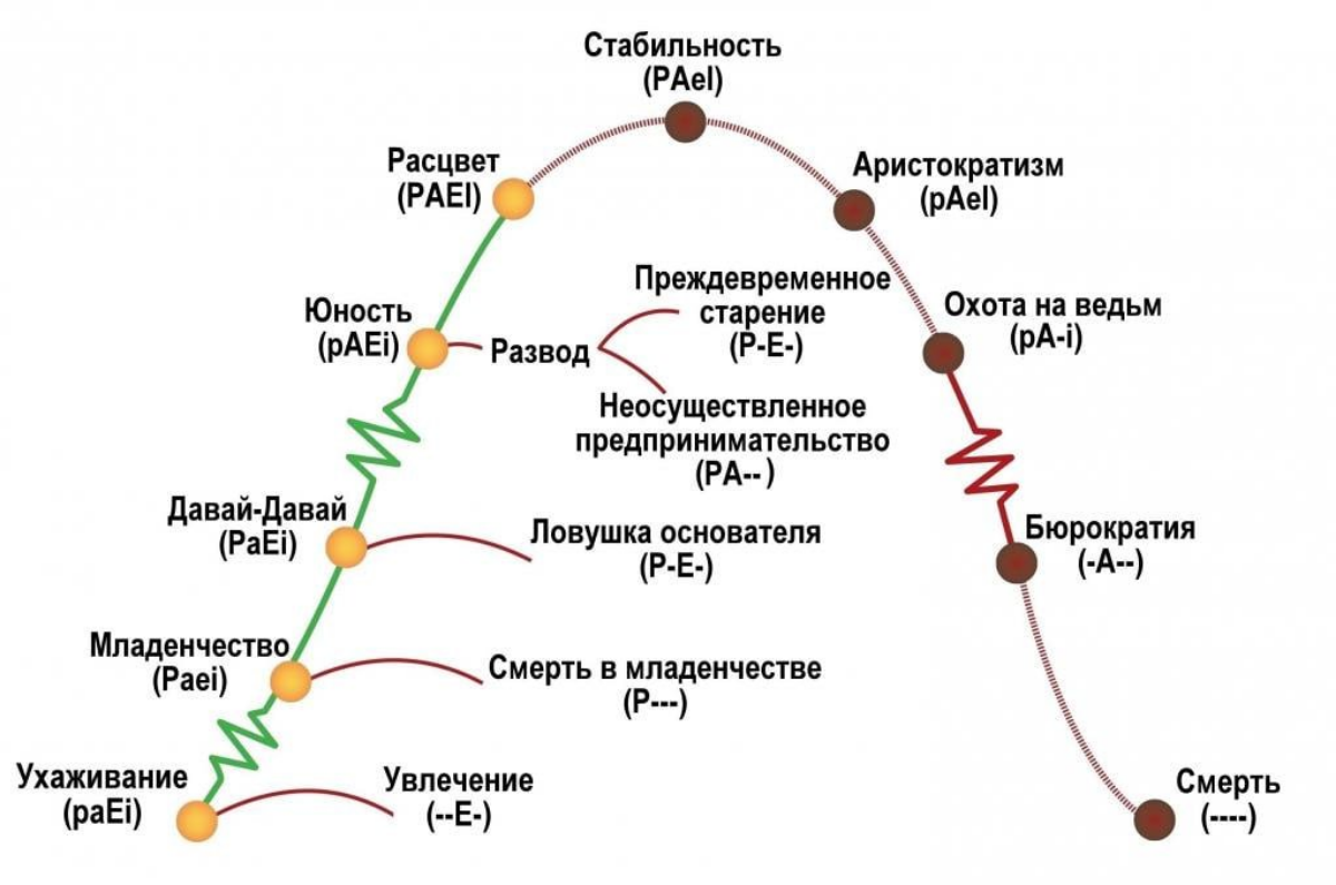 Взросление компании | Сетка — социальная сеть от hh.ru