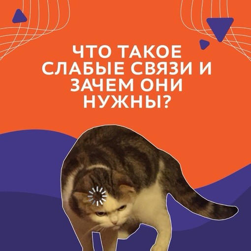 В чем сила? В нетворкинге🤫 | Сетка — социальная сеть от hh.ru