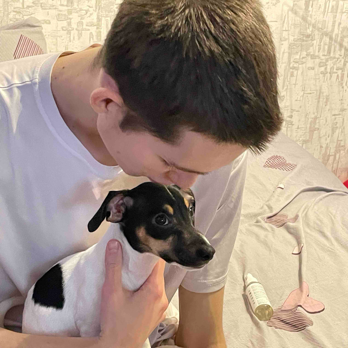 Даниил Фролов | Сетка — социальная сеть от hh.ru