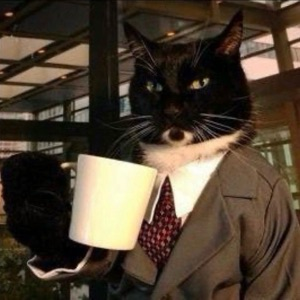 Марина Мозаль | Сетка — социальная сеть от hh.ru