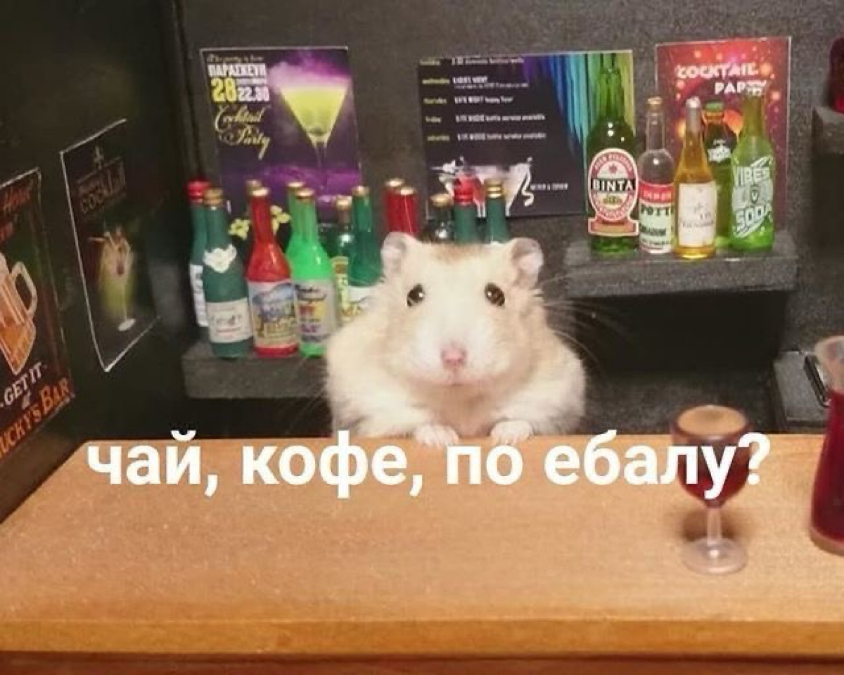 time for hihankidahahanki | Сетка — социальная сеть от hh.ru