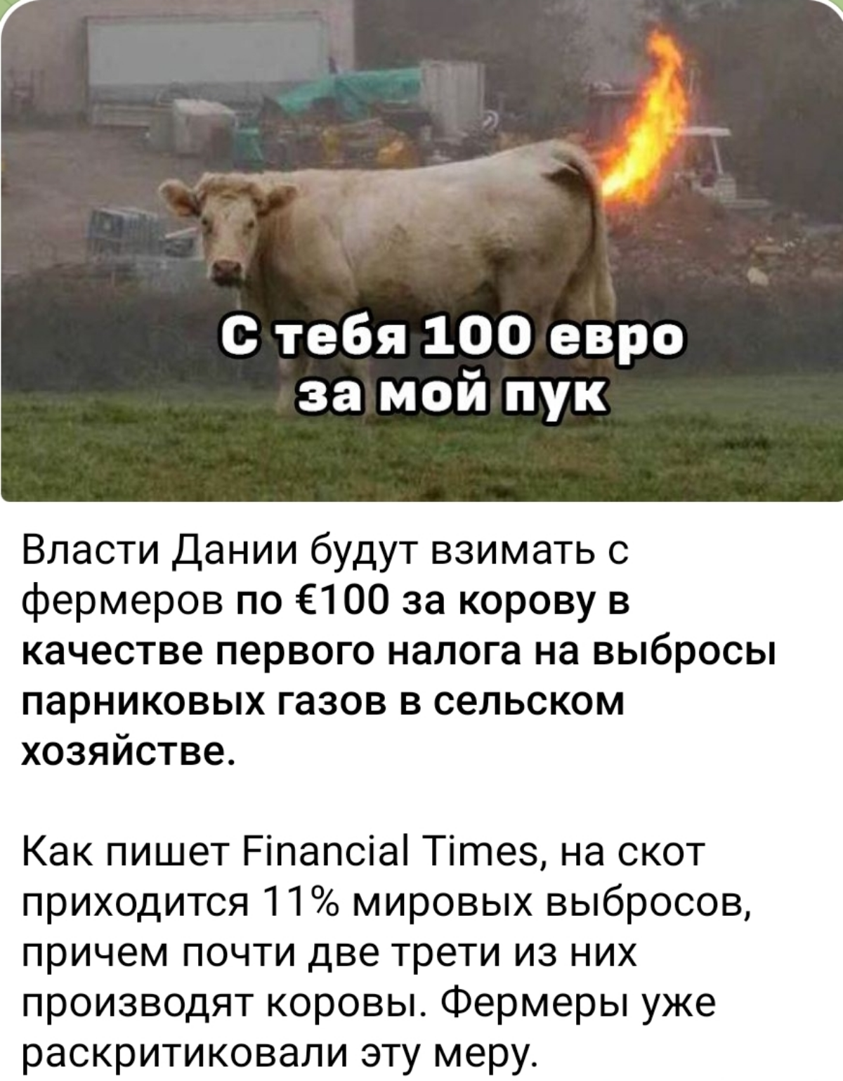 Все остальные газы выделяют наши токсичные коллеги. Давайте с них тоже взимать налог | Сетка — социальная сеть от hh.ru