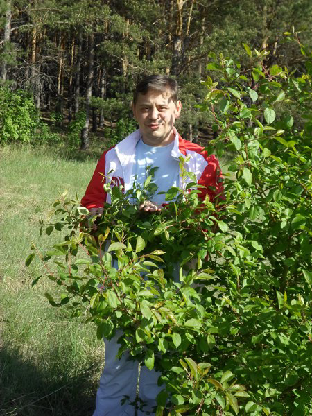 Илья Половников