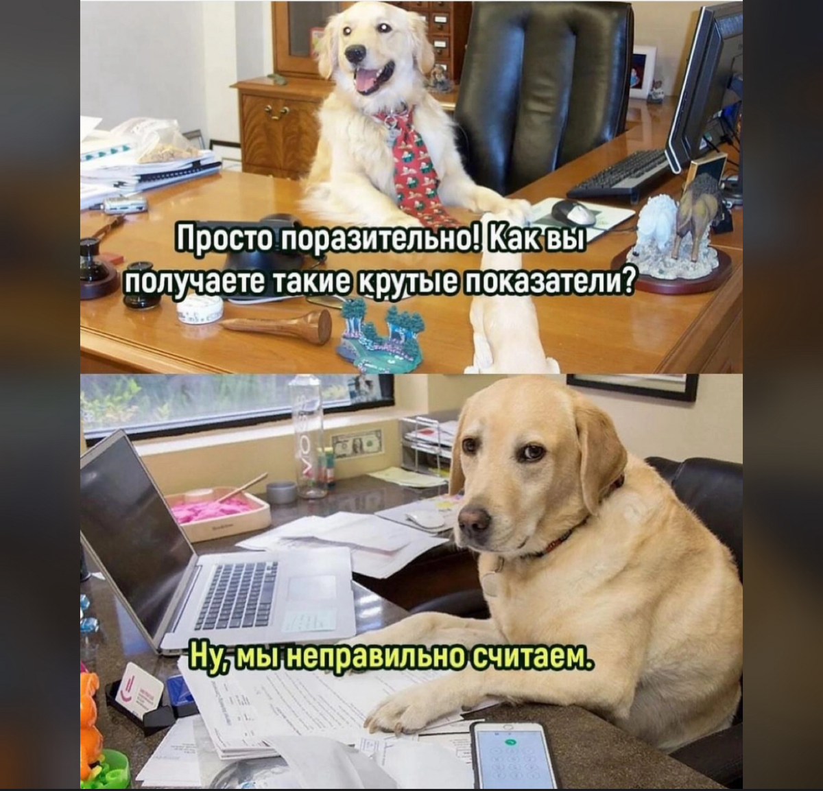 Бл… да сколько можно форсить этот мем? | Сетка — социальная сеть от hh.ru