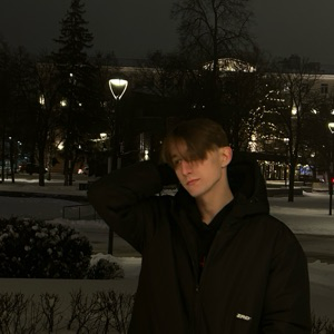 Никита Писарев