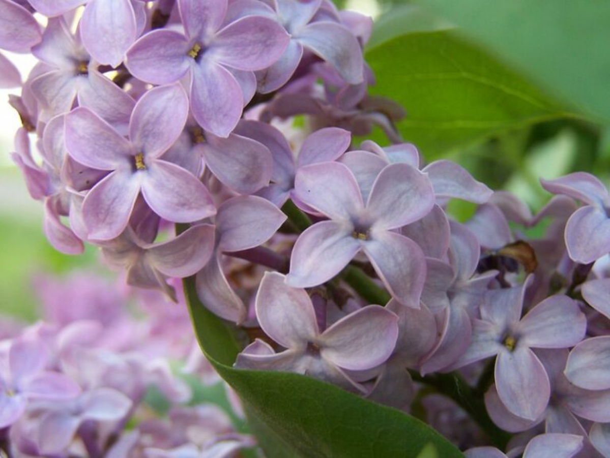 Почему важно признавать роль нечаянных событий | Сетка — социальная сеть от hh.ru