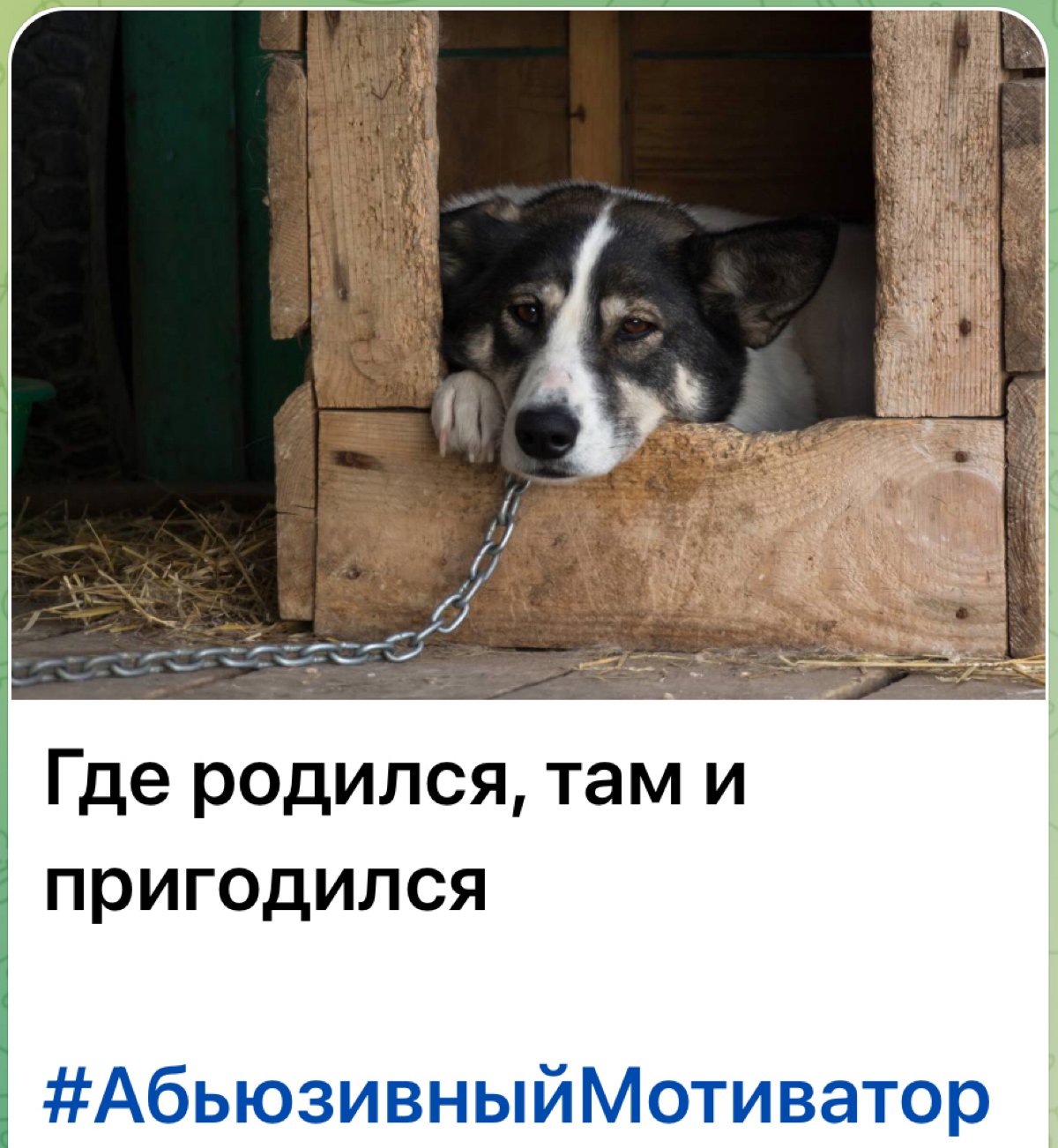 https://t.me/abusermotivator | Сетка — социальная сеть от hh.ru