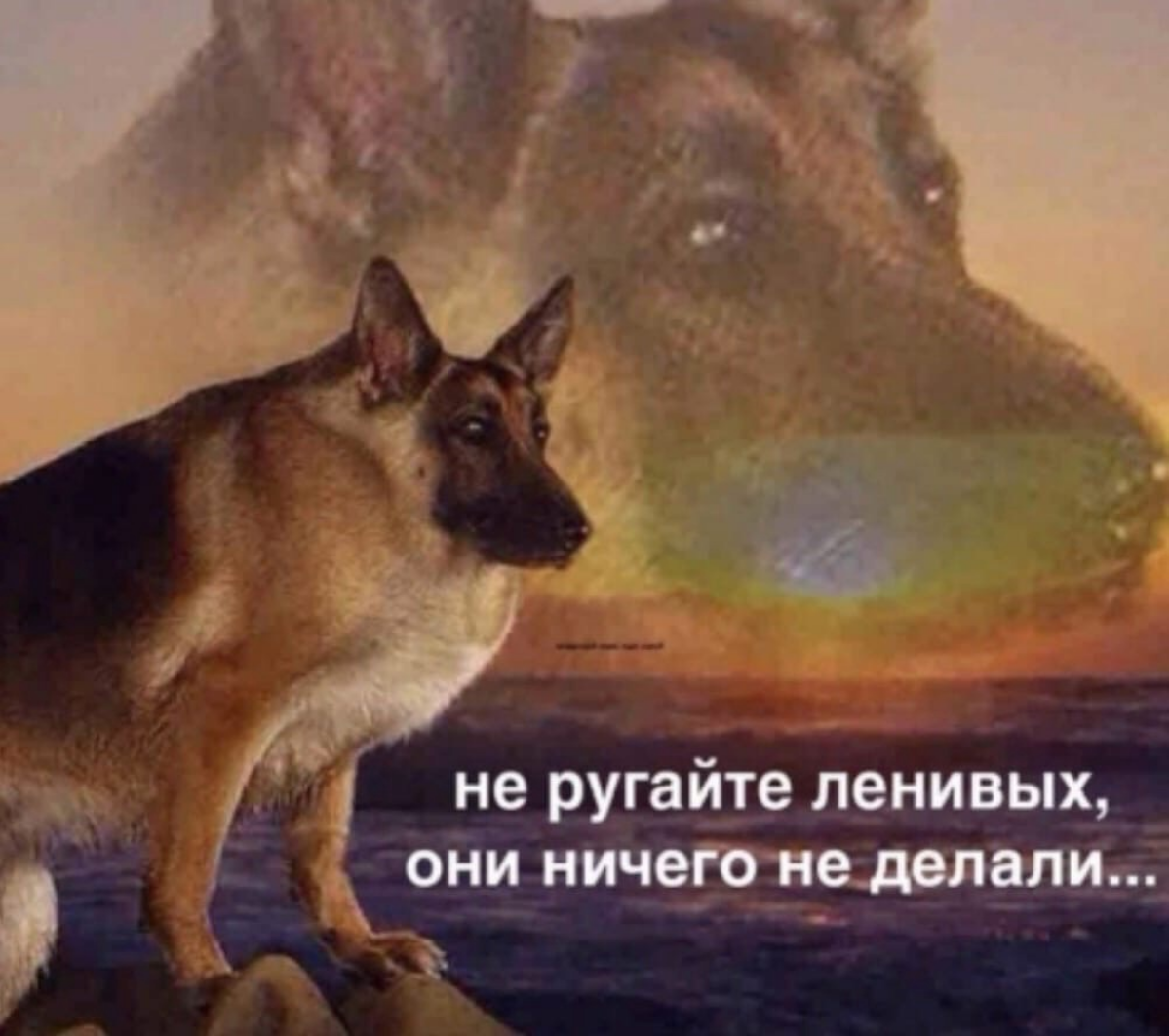 Есть среди ваших коллег те кто в основном слоняется без дела, но при этом сдаёт все проекты? | Сетка — социальная сеть от hh.ru