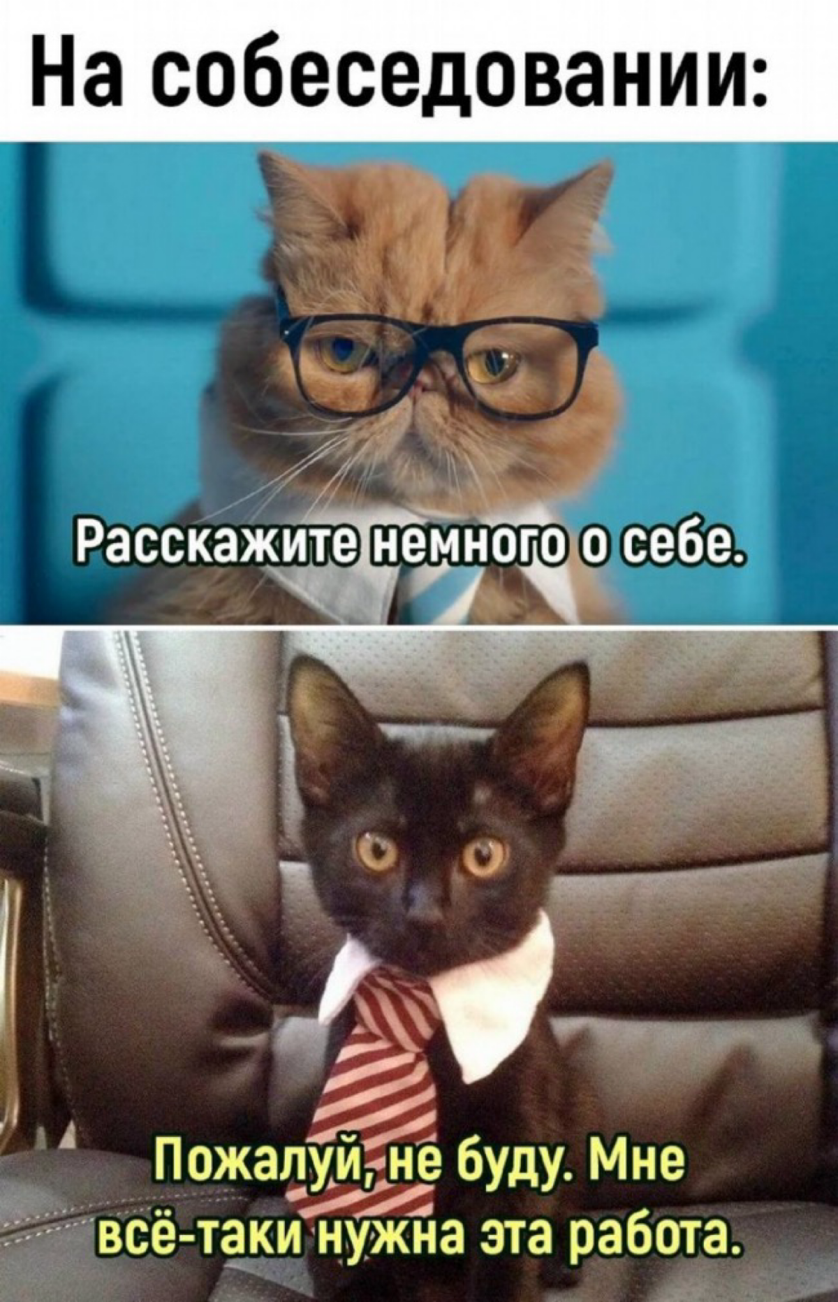 # Tell me about yourself или Как рассказать о себе на собеседовании?
На своих карьерных консультациях на удивление не часто получаю вопрос о том, как правильно рассказать о себе на собеседовании, а зр... | Сетка — социальная сеть от hh.ru