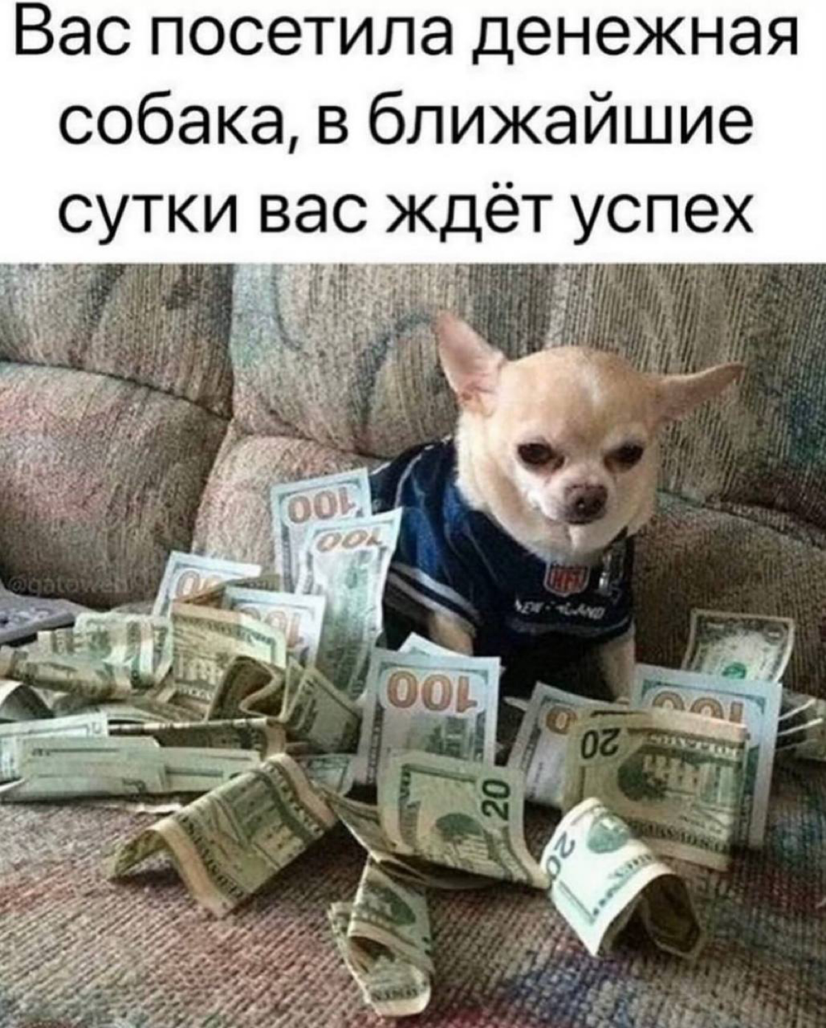 Все кто желает получить такую прибавку к зп ставьте 💚 сколько насчитали? | Сетка — социальная сеть от hh.ru