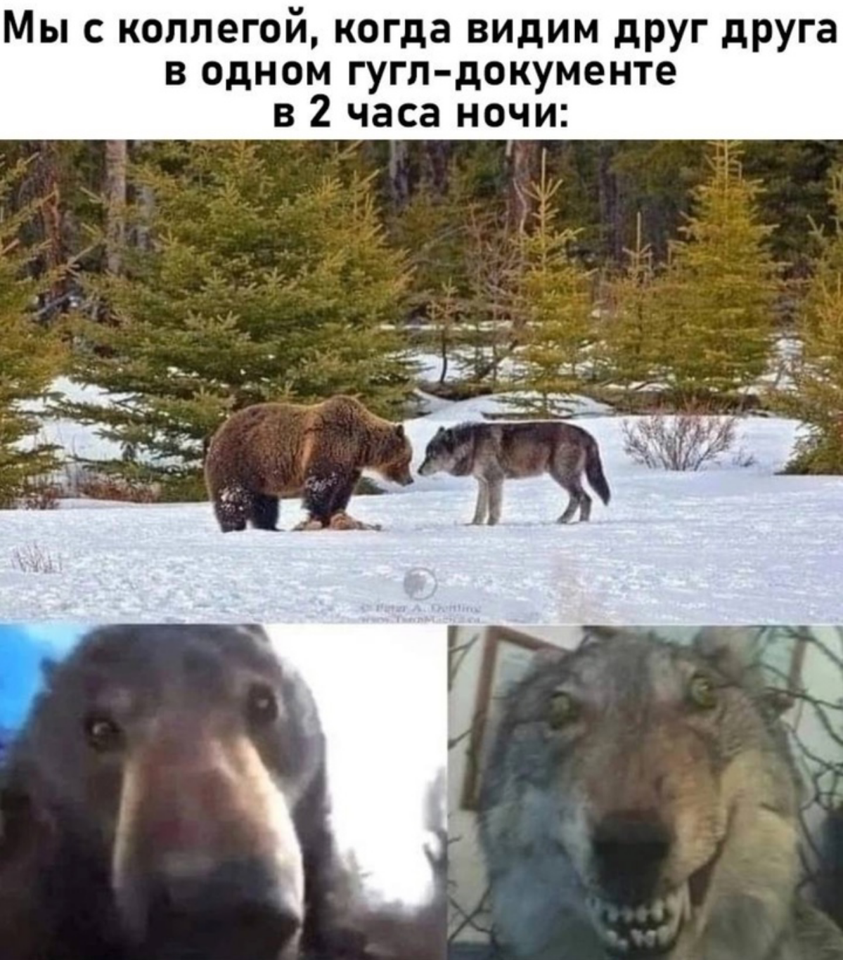 Работа по ночам она такая | Сетка — социальная сеть от hh.ru
