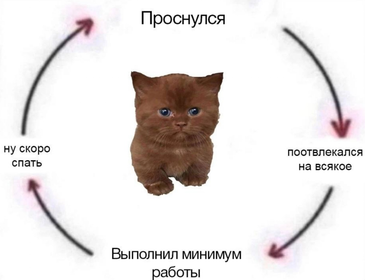 life event loop | Сетка — социальная сеть от hh.ru