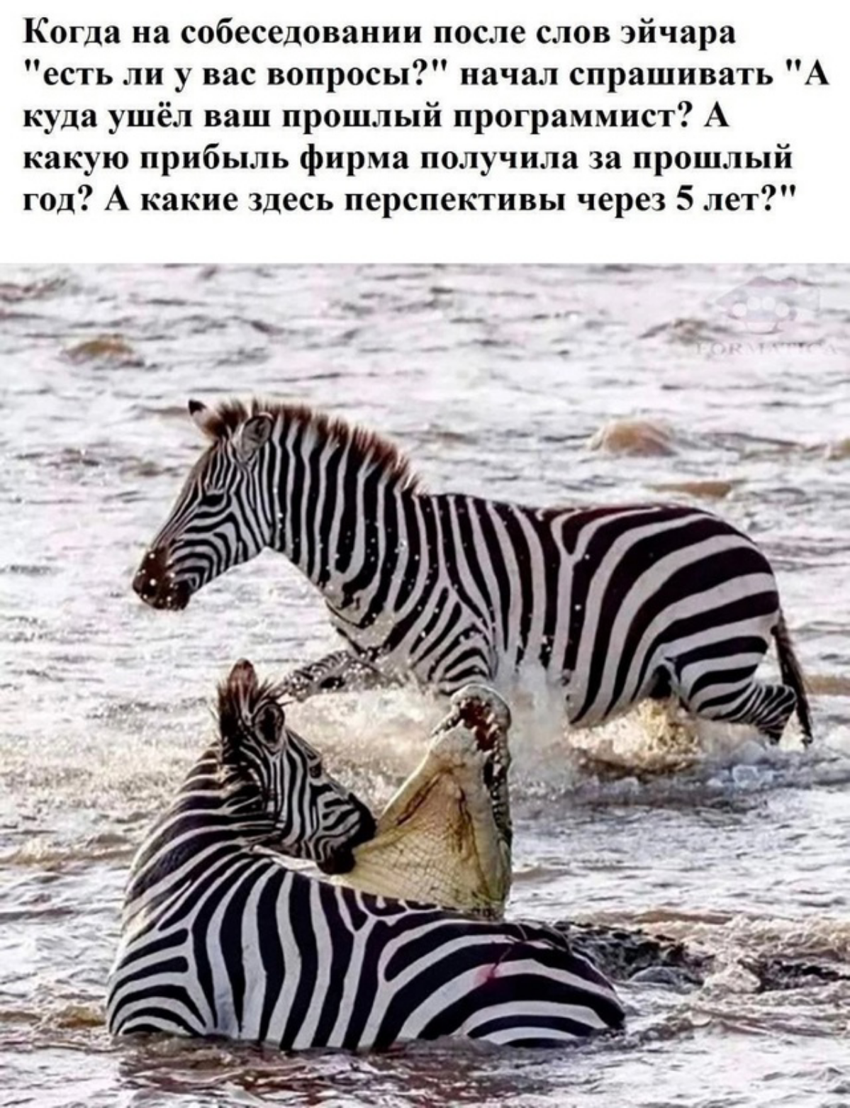 Собеседование такая штука к которой нужно готовить вопросы | Сетка — социальная сеть от hh.ru