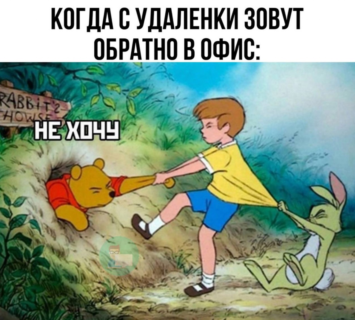 Сетка — социальная сеть от hh.ru