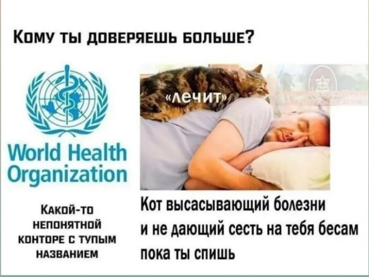 ПИШИТЕ СЮДА ФЭЙЛЫ У МЕНЯ БОЛЬШЕ НЕТ Я КРУТОЙ | Сетка — социальная сеть от hh.ru