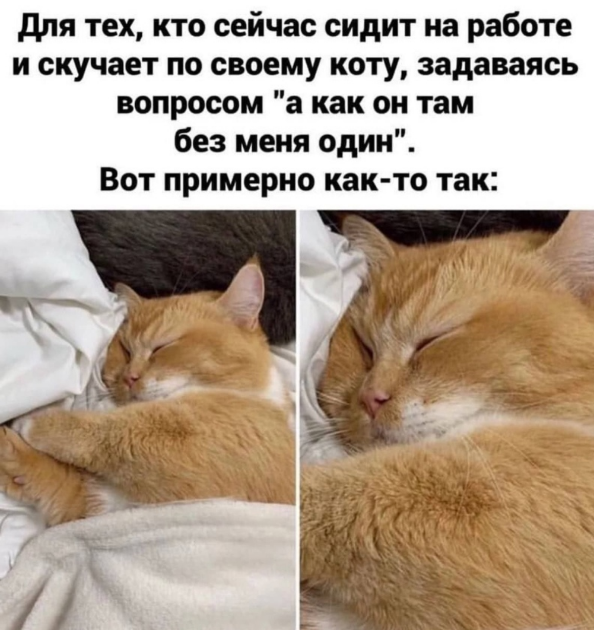 Успокою вас 🤍 | Сетка — социальная сеть от hh.ru