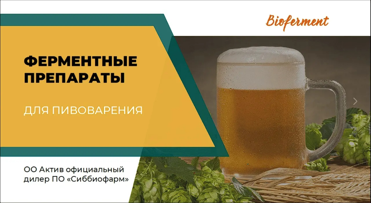 Кейс: разработка дизайна презентации для компании Bioferment | Сетка — социальная сеть от hh.ru