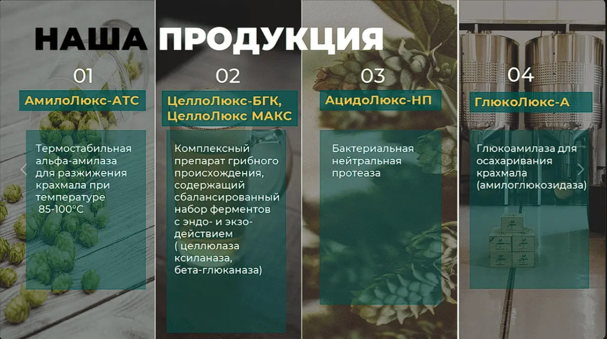 Кейс: разработка дизайна презентации для компании Bioferment | Сетка — социальная сеть от hh.ru
