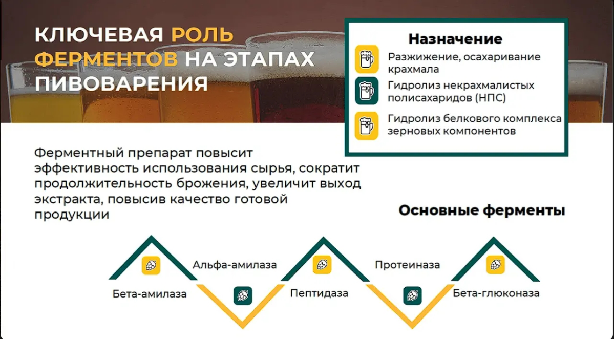 Кейс: разработка дизайна презентации для компании Bioferment | Сетка — социальная сеть от hh.ru