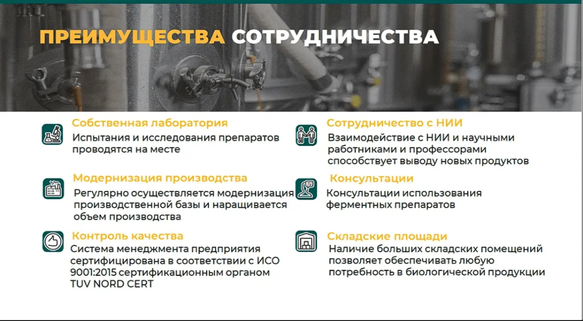 Кейс: разработка дизайна презентации для компании Bioferment | Сетка — социальная сеть от hh.ru