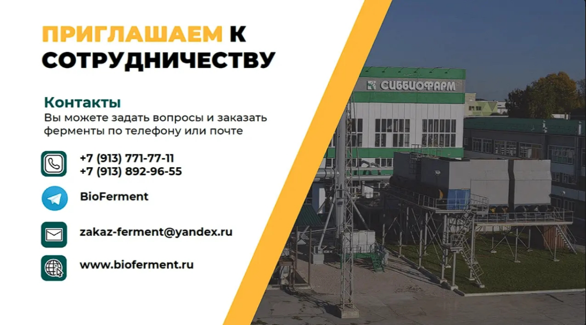 Кейс: разработка дизайна презентации для компании Bioferment | Сетка — социальная сеть от hh.ru