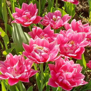 Анна Костягина | Сетка — социальная сеть от hh.ru