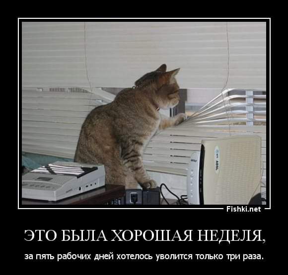 Пятница создана для мемов, как хорошие кандидаты – для HR.
Присылайте в комментариях то, что порадует коллег.
📱 ВАШ HR: оффер или жизнь | Сетка — социальная сеть от hh.ru