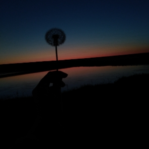 Есения Вехова | Сетка — социальная сеть от hh.ru