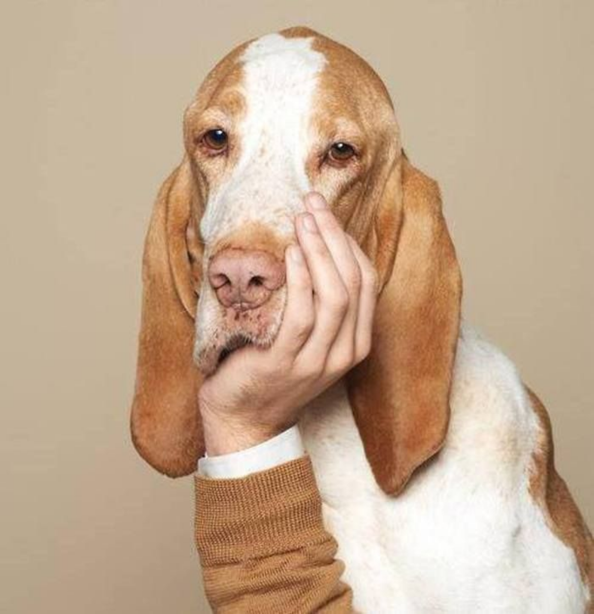 Топ-5 не самых эффективных описаний при постановке задачи | Сетка — социальная сеть от hh.ru