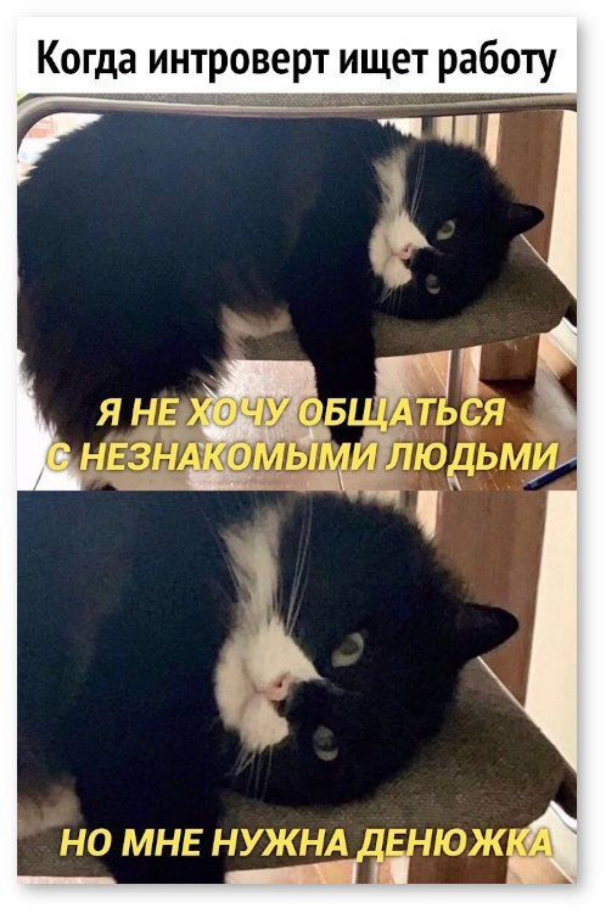 Мем #23 | Сетка — социальная сеть от hh.ru