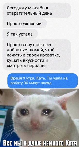 И я сегодня тоже Катя((( | Сетка — социальная сеть от hh.ru