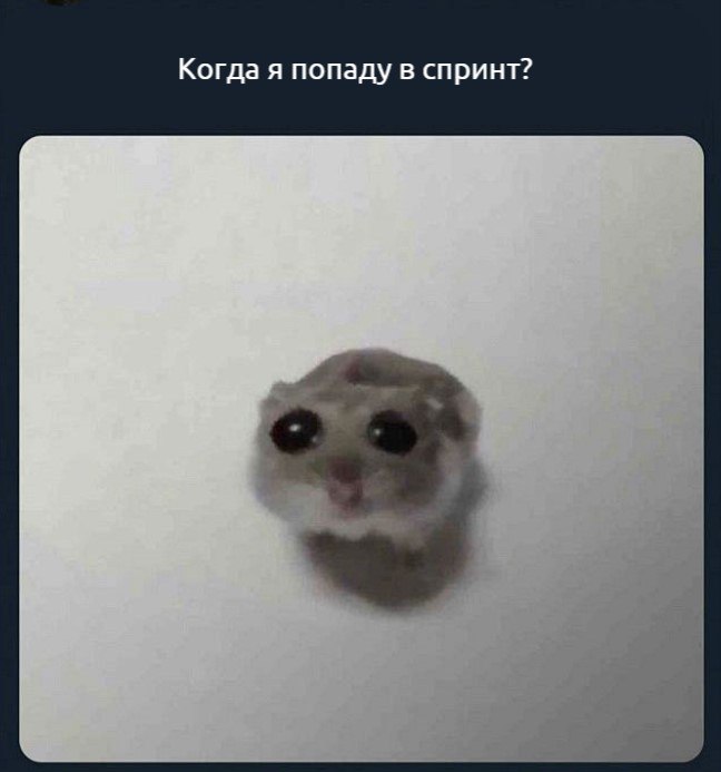 Фича в беклоге, которую нафантазировал продакт
#мем | Сетка — социальная сеть от hh.ru