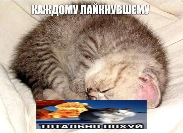 Дизайнеры, согласитесь? | Сетка — социальная сеть от hh.ru