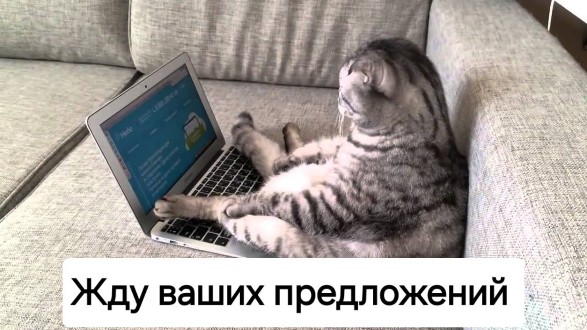Ищу работу UX/UI дизайнером.
А вдруг получится найти) | Сетка — социальная сеть от hh.ru