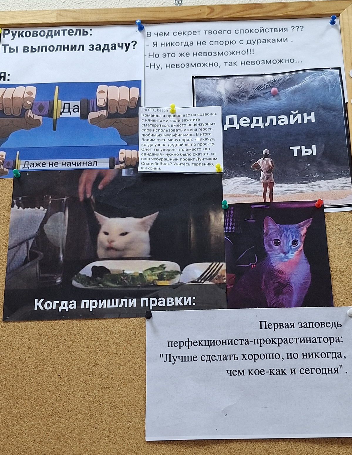 Вы ничего не знаете о вкусе, если у вас нет доски с мемами | Сетка — социальная сеть от hh.ru