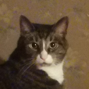 Макарий Борискин | Сетка — социальная сеть от hh.ru