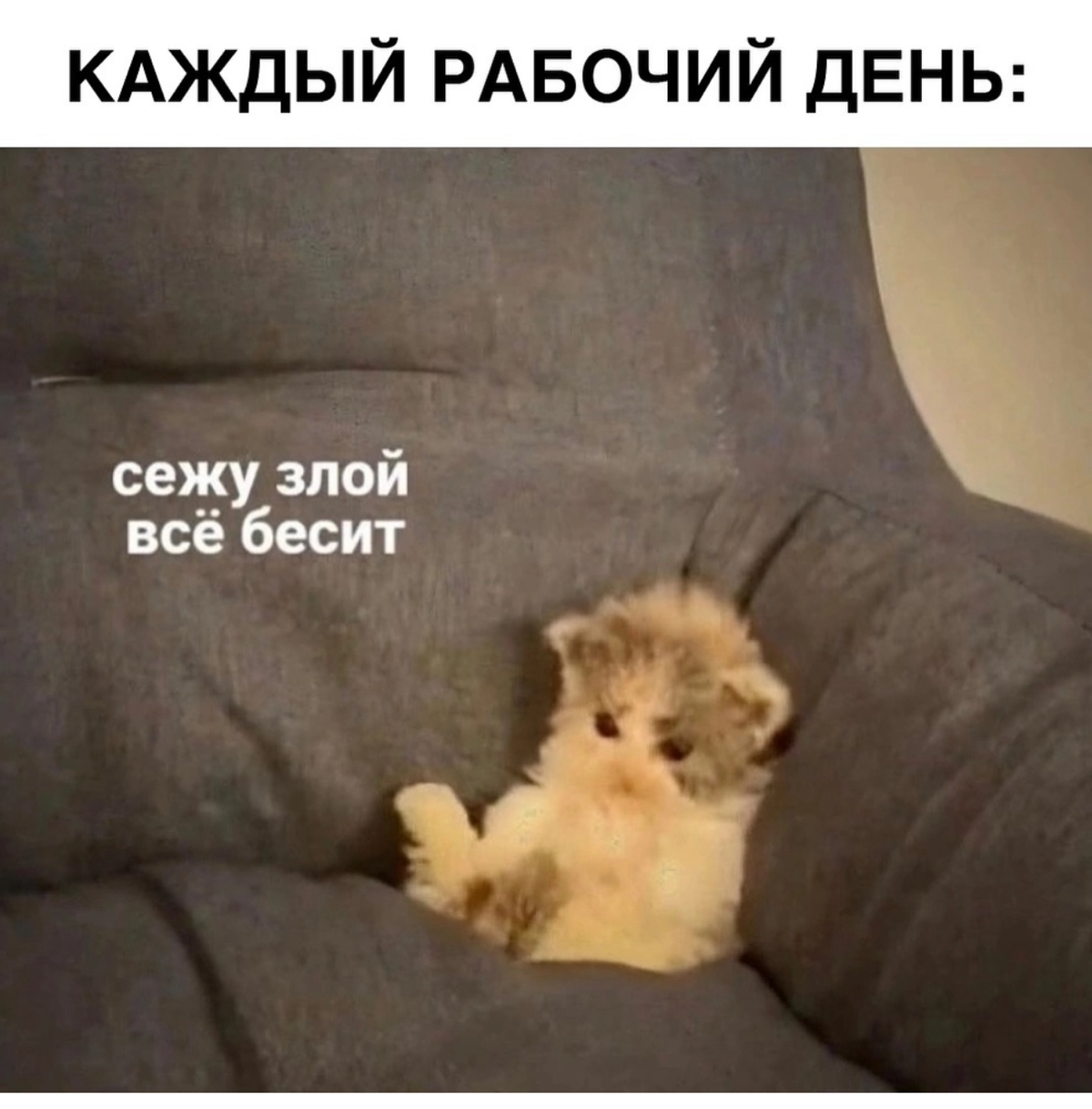 Хорошо, что завтра нерабочий день | Сетка — социальная сеть от hh.ru