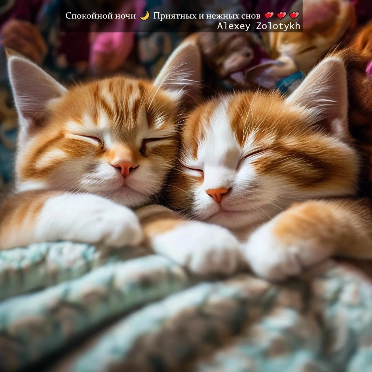 Спокойной ночи 🌙 Приятных и нежных снов 💕💕💕 | Сетка — социальная сеть от hh.ru