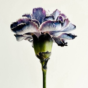 ДИЗАЙН МЫСЛИ