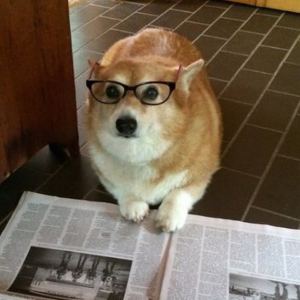 Парвиз Мирзоев | Сетка — социальная сеть от hh.ru