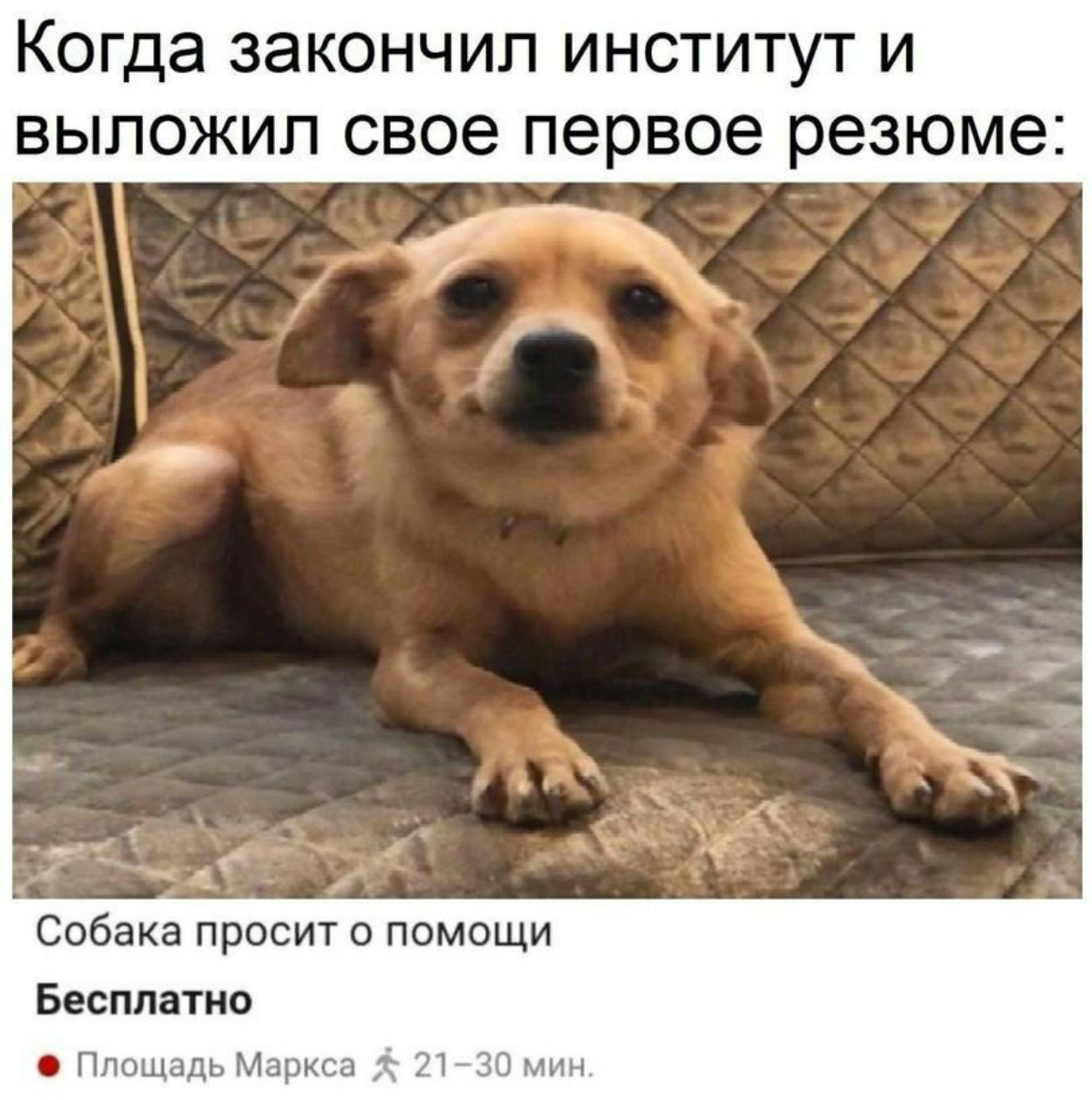 Было ведь?) | Сетка — социальная сеть от hh.ru