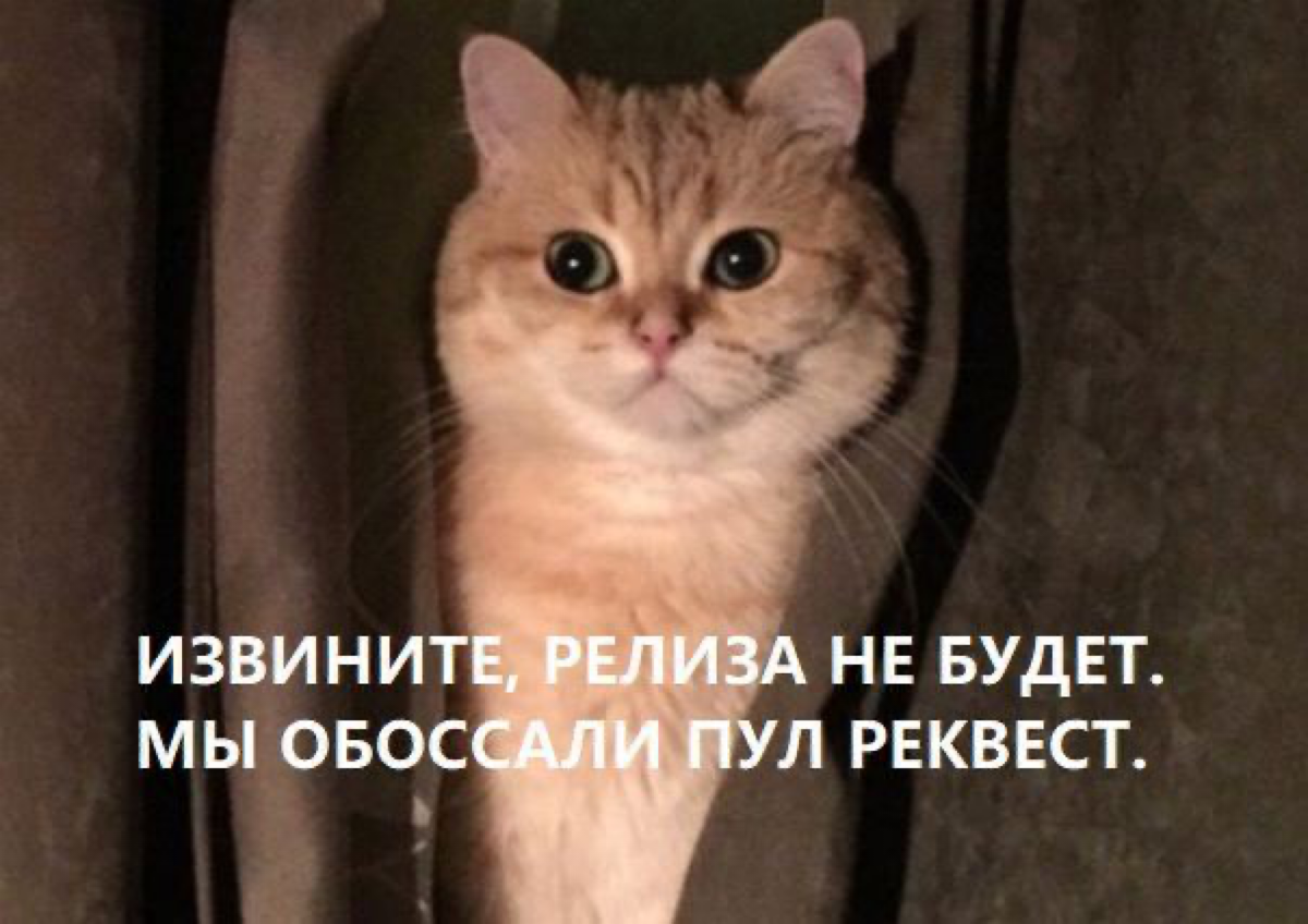 Сетка — социальная сеть от hh.ru