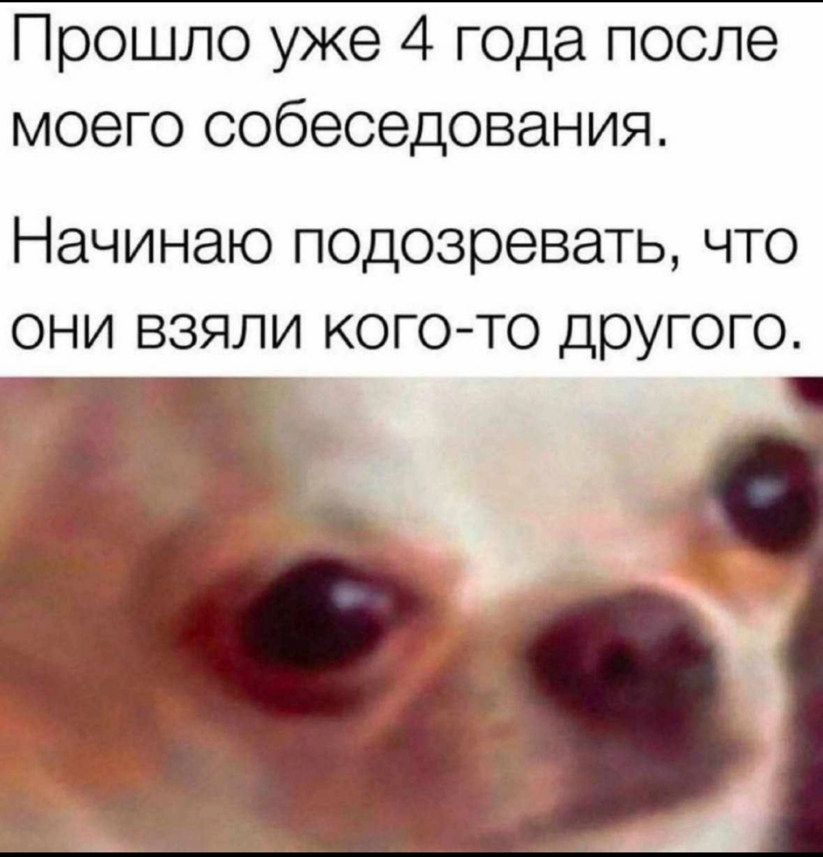 Привет зелёной авиакомпании, хорошо что не устроился 😅😅 | Сетка — социальная сеть от hh.ru