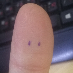 Igor Mish | Сетка — социальная сеть от hh.ru