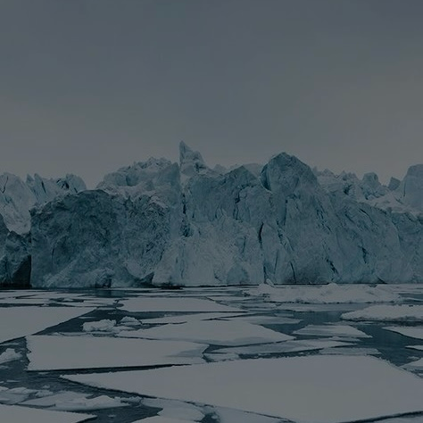 Как продать мороженое в Антарктиде? ⛄️ | Сетка — социальная сеть от hh.ru